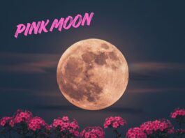 Moon Phases April 2026.