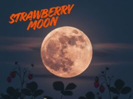 Moon Phases June 2026.