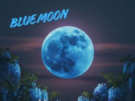 Moon Phases May 2026.