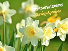 First Day of Spring.