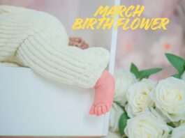 March Birth Flower.